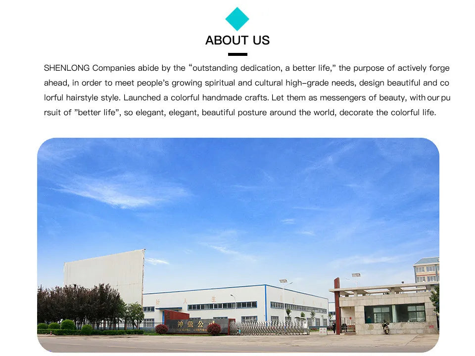 Curly Human Hair Wig 100% Human Hair HD Transparent Lace Wigs Pre Cut Remy Natural