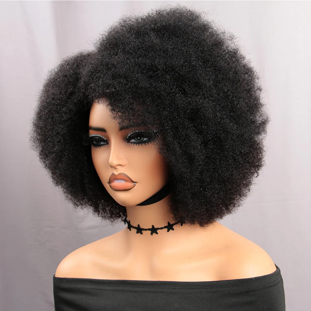 Afro Kinky Curly Lace Front Wig Natural Color Afro Bob Human Hair Natural Hairline 13X4X2 250% Density Short Human Hair Wigs