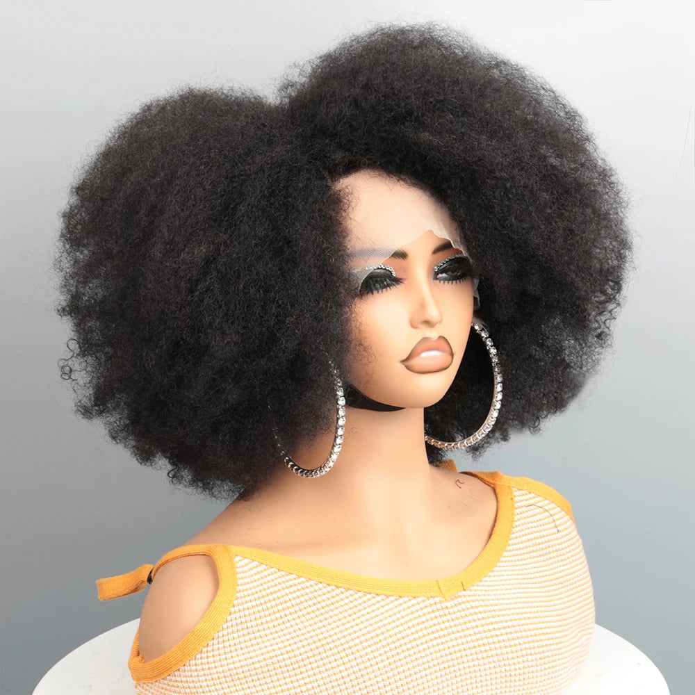 Afro Wigs for Black Women Kinky Curly Lace Front Wig Afro Short Bob Human Hair Wig 13x4x2 HD Lace Natural Hairline 250% Density