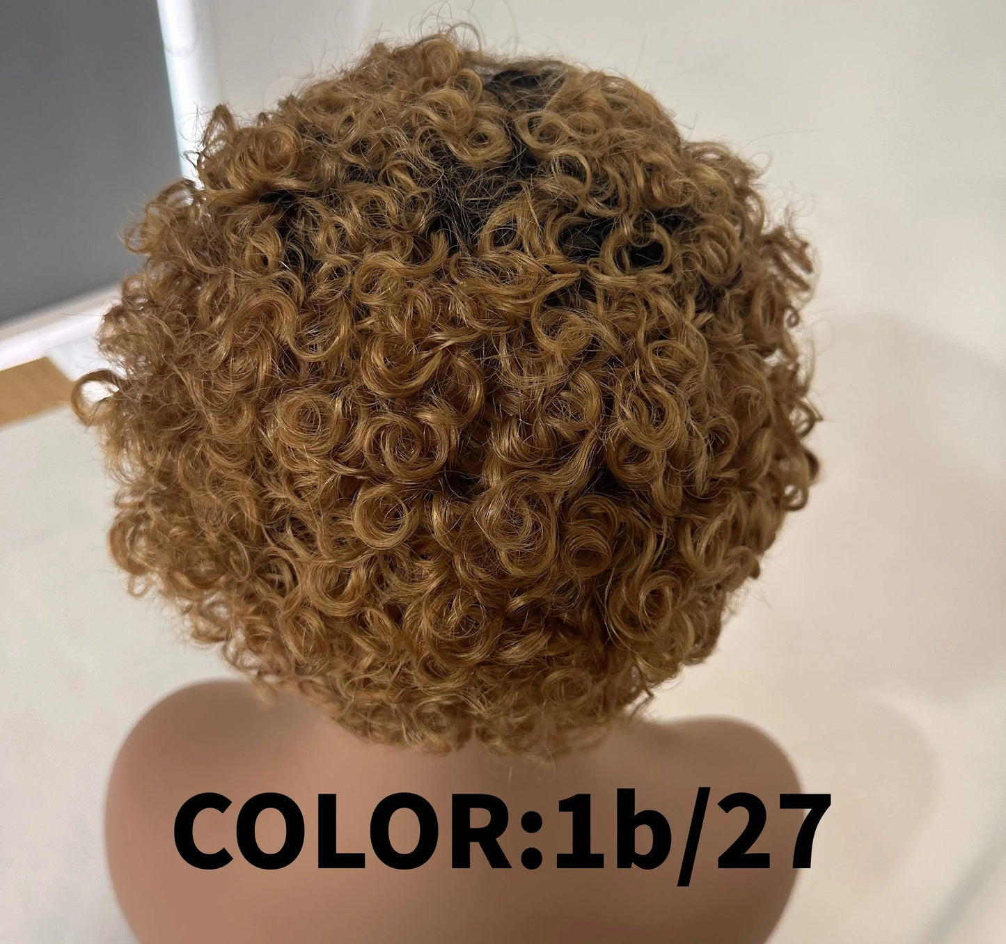 Short Pixie Cut Wig Human Hair 6 Inch 13x1  Brazilian Remy Hair Curly Bob Wig Transparent Lace Wig Preplucked Hairline Yarra