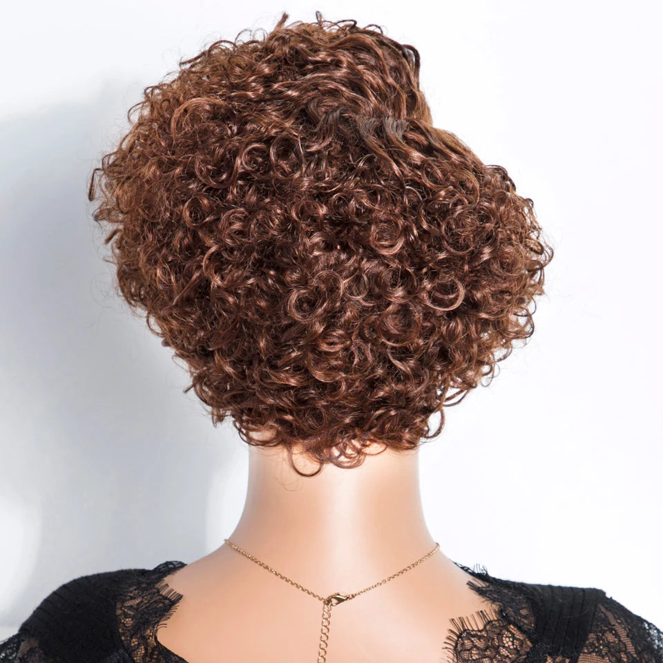 Natural Brown Hair Pixie Cut Wig Short Bob Curly Human Hair Wig 13x1 Lace Front Transparent Deep Curly Hair Lace Wig Preplucked