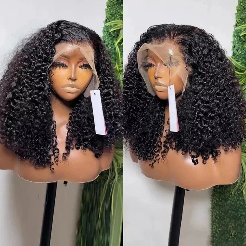 200% Density Afro Kinky Curly Wigs Human Hair 13x4 Wigs Brazilian Hair 4x4 For Women