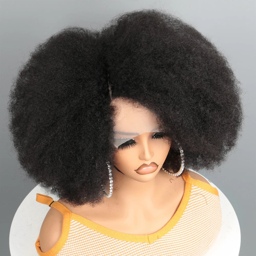 Afro Wigs for Black Women Kinky Curly Lace Front Wig Afro Short Bob Human Hair Wig 13x4x2 HD Lace Natural Hairline 250% Density